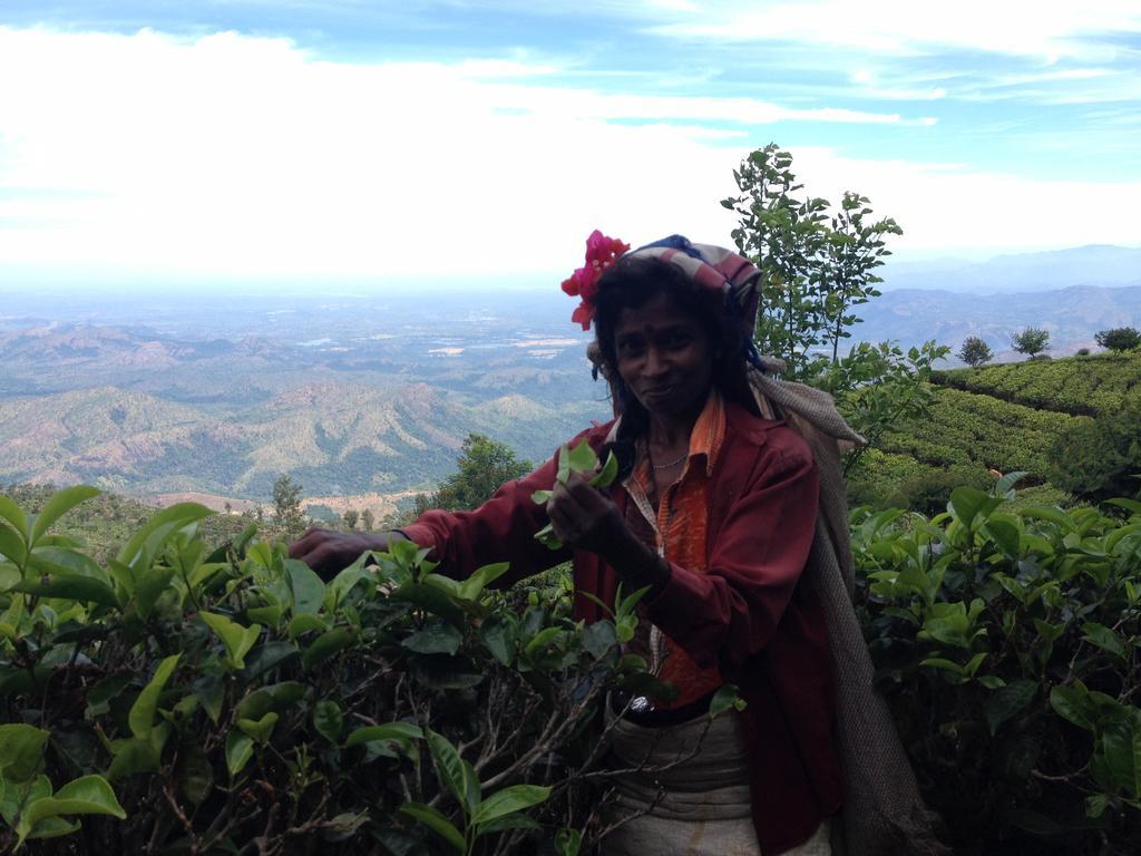 Leisure Mount View Holiday Inn Haputale Rom bilde